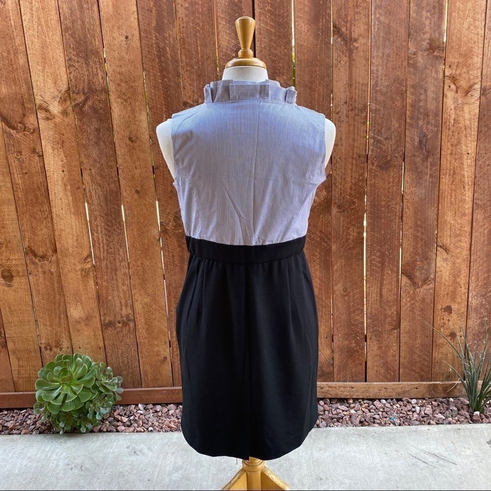 New York & Company Dress - Picture 2 of 12